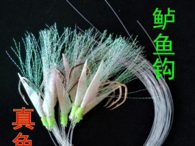 串钩钓鱼技巧教程？如何提高钓鱼成功率？