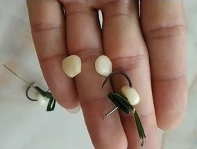 芦苇叶子钓鱼技巧（玩转芦苇叶子）