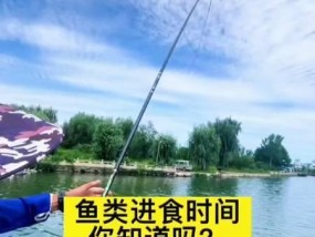 巴基斯坦人钓鱼技巧有哪些？如何提高钓鱼成功率？