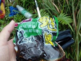 冬天手竿垂钓鲫鱼有哪些技巧？如何提高冬季钓鱼的效率？