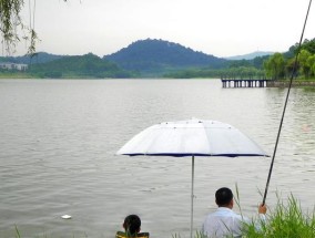 小区里河道钓鱼技巧（享受钓鱼乐趣的小窍门）