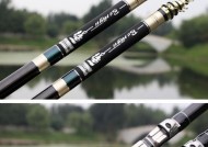 冬天用谷麦钓竿钓鲤鱼有哪些绝密技巧？如何提高钓鲤鱼的成功率？