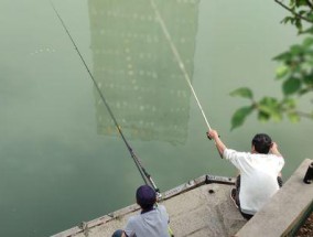团泊大桥钓鱼技巧与方法（探秘团泊大桥下的丰富渔获）