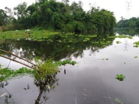 小雨钓鱼的技巧及方法教程（钓鱼爱好者必读的小雨钓鱼攻略）