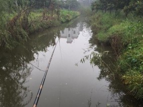 冬季养殖鱼塘钓鱼的六个技巧（冬季养殖鱼塘钓鱼的关键技巧）