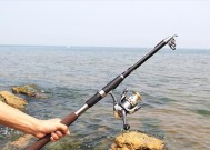 海竿钓鱼技巧江边有哪些？如何在江边提高海竿钓鱼的成功率？
