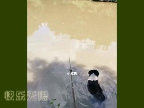如何快速学习钓鱼技巧？教程中常见问题解答？