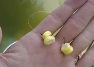 冬天钓鱼加小药技巧是什么？如何正确使用提高钓鱼效率？