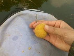 钓鱼技巧（玉米钓法秘诀揭秘，让你成功钓获丰富渔获！）