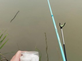 桃源仙境里钓鱼技巧（享受钓鱼乐趣的关键）