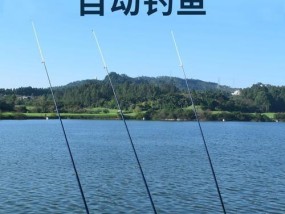 黑坑抛竿钓鱼技巧（揭秘成功的关键是什么）