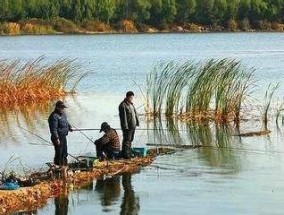 冬天打窝钓鱼技巧有哪些？如何提高冬季钓鱼成功率？