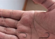 如何选择合适的子线？钓鱼时子线选择的技巧是什么？