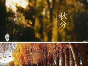 白露到秋分期间如何选择最佳钓鱼钓点？有哪些技巧可以提高钓鱼成功率？