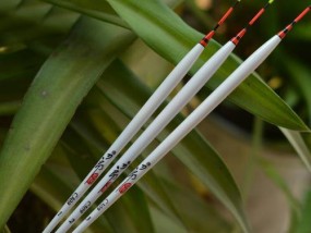 冬天钓鲫鱼浮漂技巧（冬季钓鲫鱼的浮漂选择和使用方法）