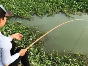 极寒模式下的钓鱼技巧（寒冬里的钓鱼秘籍）