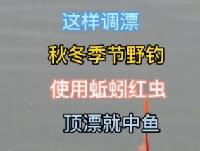 北方早春野钓鱼技巧有哪些？如何应对早春钓鱼的常见问题？