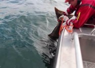 海里钓鱼有什么技巧？如何提高钓鱼成功率？