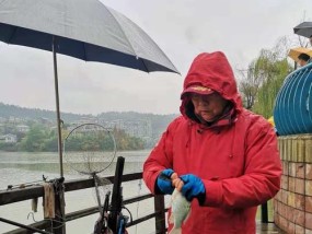 小区湖钓鱼技巧与方法（探秘小区湖里的丰富渔获）
