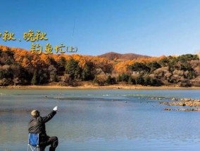 晚秋钓鱼调标技巧（掌握调标窍门）