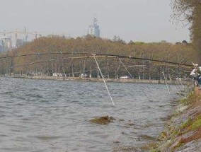 卡伦湖钓鱼技巧大全（掌握钓鱼技巧）