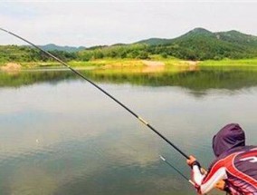 崇州钓鱼大赛百名市民比拼技巧有哪些？如何提高钓鱼技能？
