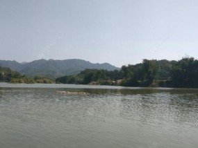 大水面湖库钓鱼技巧有哪些？如何提高钓鱼成功率？