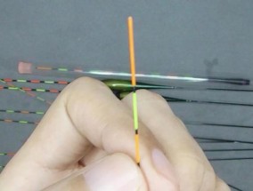 提高钓鱼技巧的调一目调几目方法（有效利用视觉调动钓鱼技巧，让鱼儿主动上钩）