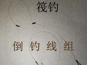 串钩钓鱼浮钓技巧有哪些？如何提高浮钓成功率？
