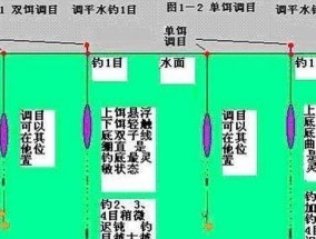 钓鱼海竿调漂技巧大揭秘（从入门到高级，轻松掌握调漂技巧）