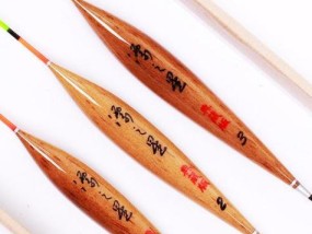 看漂技巧教学——提升钓鱼技巧的关键（钓鱼技巧教学，以看漂为主题，帮你成为钓鱼高手）
