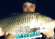 冬天夜钓应该注意什么？有哪些实用的小技巧？