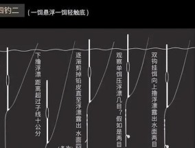 初学钓鱼的十大技巧（掌握钓鱼技巧享受渔乐无限）