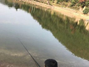 冬天冰冻鱼塘钓鱼技巧有哪些？如何提高钓鱼成功率？