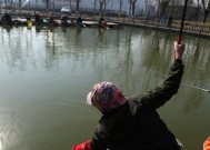 豆角挂钩钓鱼技巧是什么？如何提高钓鱼成功率？