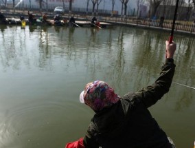 豆角挂钩钓鱼技巧是什么？如何提高钓鱼成功率？