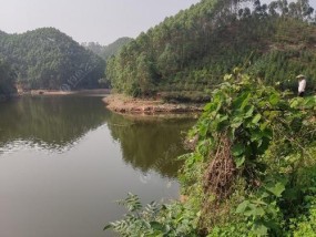 水库闹窝钓鱼技巧（钓鱼高手分享的实用技巧）