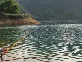 夏秋交替钓鱼技巧（掌握时机）