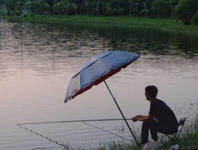 钓鱼打窝技巧大揭秘（掌握窍门，提升钓鱼效果）