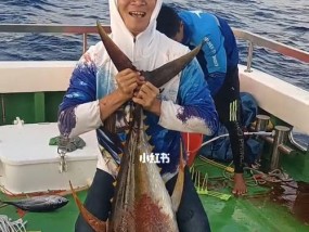 岸边钓金枪鱼方法和技巧有哪些？如何提高钓金枪鱼的成功率？