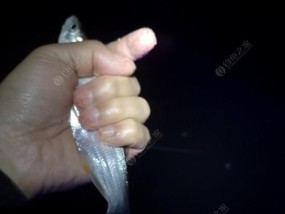 小雪钓鱼技巧大揭秘（掌握关键技巧）