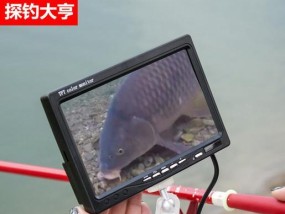 钓鱼技巧与方法大揭秘（掌握钓鱼技巧）