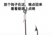 冬天使用老姜钓鱼有哪些技巧？如何提高冬季钓鱼成功率？