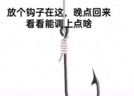 冬天使用老姜钓鱼有哪些技巧？如何提高冬季钓鱼成功率？