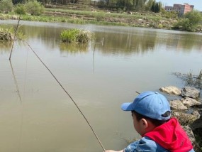 天热早晨钓鱼技巧（夏日清晨河畔垂钓）