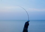 水库钓鱼技巧与方法（提高钓鱼效果的实用技巧与经验分享）
