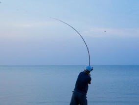 水库钓鱼技巧与方法（提高钓鱼效果的实用技巧与经验分享）