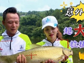 钓鱼上岸技巧大揭秘（掌握技巧，成为高手）