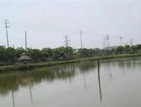 清明前阴雨天钓鱼技巧（室外活动的好时光）