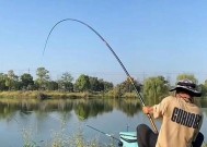 冬天水库钓鱼用串钩怎么提高成功率？有哪些技巧？